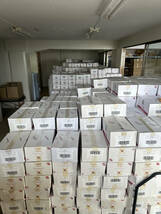 白ワイン　6本　ケース販売　在庫処分　ポルトガル産_画像4