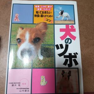 犬のツボ 住居しつけ遊び食事マッサージ 知っておきたい仲良く暮らすためのコツ 