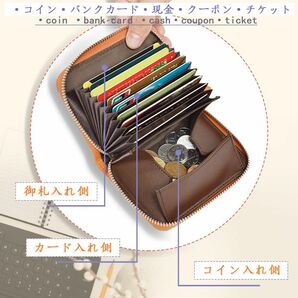 財布 ミニ財布 レディース 小さい コンパクト 超軽量 お札が折れない かるい かわいい ミニウォレッ 小さめ 小銭入れ　グリーン