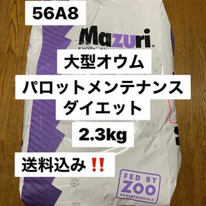 mazuri マズリ　56A8 2.3kg パロットメンテナンス　大型オウム飼料