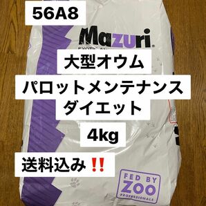 mazuri マズリ　56A8 4kg パロットメンテナンス　大型オウム飼料