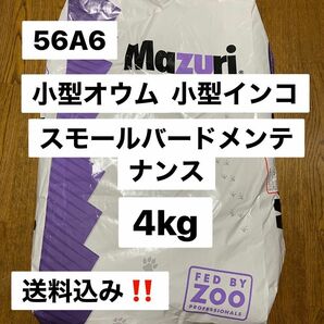 mazuri マズリ　56A6 4kg スモールバードメンテナンス