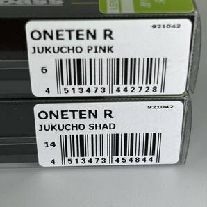 メガバス ビジョン ワンテン R 未開封品 2個セット JUKUCHO SHAD ＆ JUKUCHO PINK VISION 110 ONETEN R MEGABASSの画像7