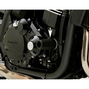 送料無料　デイトナ エンジンプロテクター ZRX1200 DAEG ダエグ 09- 79941