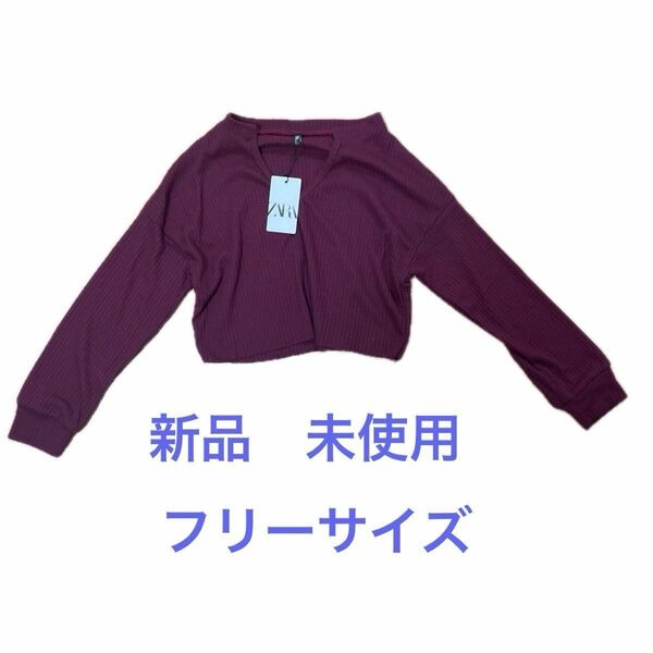 新品　未使用　トップス　 ニット　薄手　ワインレッド　 Vネック　ZARA ザラ