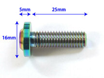 XJR1200 XJR1300前期-2002専用 64チタン合金製 フロントブレーキディスクボルトセット 焼き色付き_画像5