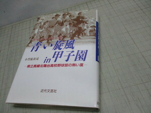 青い旋風in甲子園 県立長崎北陽台高校野球部の熱い夏 甲子園ベスト8 平成8年初版 