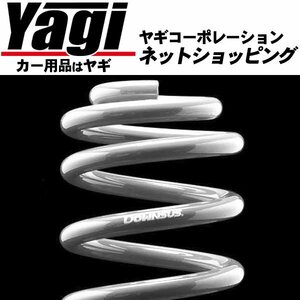 新品◆エスペリア　スーパーダウンサス（フロントのみ）　クライスラー PTクルーザー(PT2K20)　00/7～　T　2.0L・2003年/2004年モデル共通