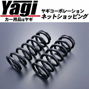 新品◆D-MAX　直巻スプリング　（220mm　6Kgf/mm）　2本セット　（バネ|ドリフト|D1）