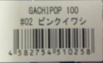 新品未開封　応募券付　ブルーブルー　ガチポップ100 #02 ピンクイワシ GACHIPOP 100 Blue Blue シーバス　青物　磯　村岡昌範_画像3