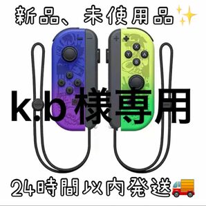 Switch コントローラー　スプラトゥーン風　Joy-Con ジョイコン