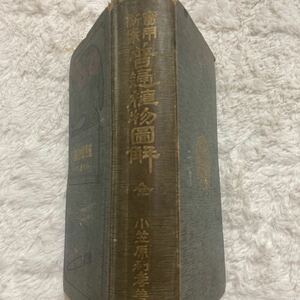 「初版/明治42年/稀観本」小笠原利孝『実用新案　普通植物図解』虎谷誠々堂　　序文 三好学/東京帝国教授　理学博士、加藤逢吉/茨木中学