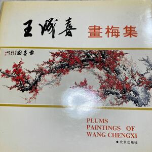 王成喜 現代中国書画　中国本　中文　画梅集　北京出版社　作者常用印章　６３画