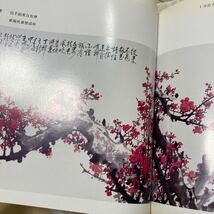 王成喜 現代中国書画　中国本　中文　画梅集　北京出版社　作者常用印章　６３画_画像5