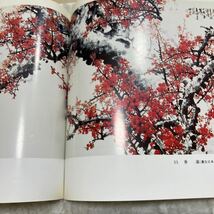 王成喜 現代中国書画　中国本　中文　画梅集　北京出版社　作者常用印章　６３画_画像10