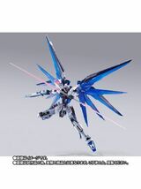 METAL BUILD フリーダムガンダム CONCEPT 2 SNOW SPARKLE Ver._画像5