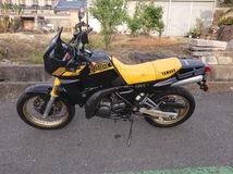 動画説明あり 希少 TDR250 2スト キャブ車 キック1発始動OK 2YK ナックルガード_画像2