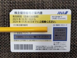 ANA全日空 株主優待券（〜2024年11月30日搭乗分まで）1枚 送料込