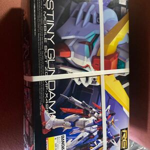 ZGMF-X42S Destiny Gundam (1/144 шкала RG 11 Mobile Suit Gundam SEED DESTINY 2205030)