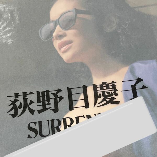 荻野目慶子　写真集　SURRENDER