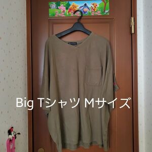 ビックティシャツ Mサイズ 半袖 Tシャツ 古着