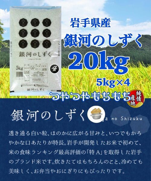 米　精米【岩手県産銀河のしずく20Kg】 5kg×4 6年連続特A評価を獲得！白くて艶やかなお米でございます♪