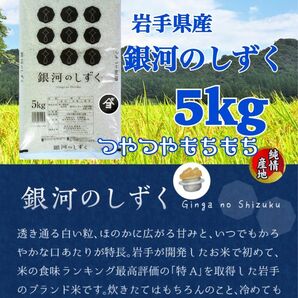 米　精米【岩手県産銀河のしずく5Kg】 6年連続特A評価を獲得！白くて艶やかなお米でございます♪