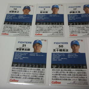 北海道日本ハムファイターズ プロ野球チップスカード １６枚セット（２０２３年 ９枚 ２０２４年 ７枚） ※伊藤大海エラーカード含むの画像10