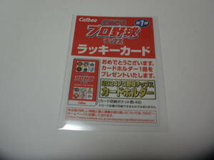 Professional Baseball chip s card 2024 year Lucky card 