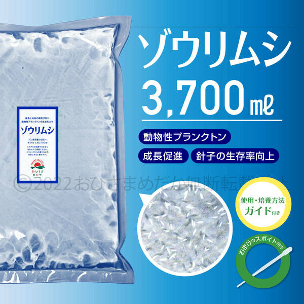 特濃縮【ゾウリムシ　種水　増量　3700ml】めだか　メダカ　針子　エサ 稚魚　psb　 金魚　ミジンコ　クロレラ　ミドリムシ スポイト付き