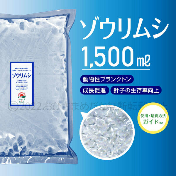 【ゾウリムシ　種水　増量　1500ml】めだか　メダカ　針子　エサ 稚魚　psb　 金魚　ミジンコ　クロレラ　ゾウリムシ 培養におすすめ