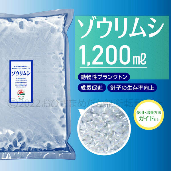 【ゾウリムシ　種水　増量　1200ml】めだか　メダカ　針子　エサ 稚魚　psb　 金魚　ミジンコ　クロレラ　ゾウリムシ 培養におすすめ