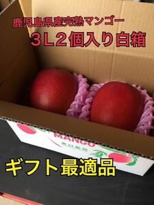 鹿児島県産完熟マンゴー　3L 2玉白箱入り　送料込