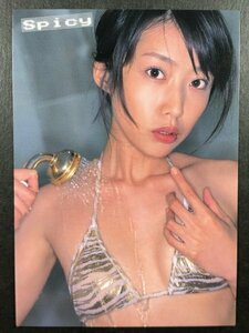 七生 奈央　さくら堂 2005 spicy　06　レースクイーン　水着 グラビア アイドル トレカ トレーディングカード　