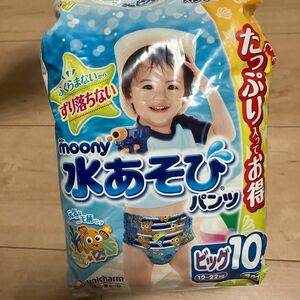 最終値下げ水あそび用パンツ10枚セット売り 水あそび用オムツ