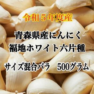 令和5年度産!!青森県産にんにく 福地ホワイト六片 サイズ混合バラ 500グラム