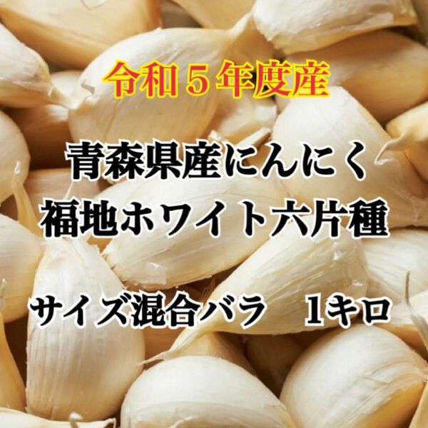 令和5年度産!!青森県産 にんにく 福地ホワイト六片 サイズ混合バラ 1ｋｇ