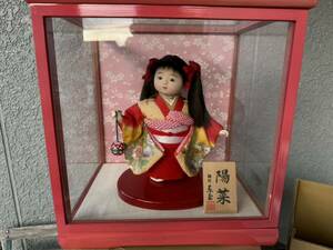 日本人形 わらべ人形　着物 コレクション ガラスケース付 置物 飾り 和風 インテリア 昭和レトロ 