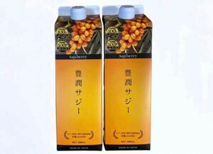 ■新品■ゆうパック送料無料■フィネス 豊潤 サジー 1000ml（紙パック）×2本セット■鉄分補給■