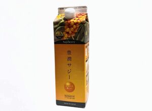 ■即日発送■新品■ゆうパケット送料無料■フィネス 豊潤 サジー 1000ml（紙パック）■鉄分補給■