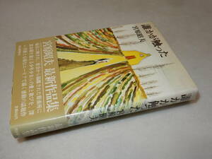 X0238〔即決〕〔芥川賞〕『誰かが触った』宮原昭夫(河出書房新社)昭47年初版・帯(ヤケ)〔状態：並/多少の痛み・カバヤケ等があります。〕