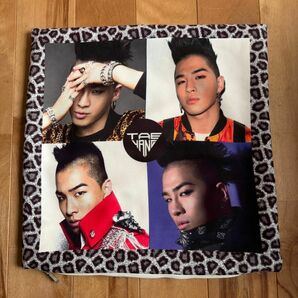 BIGBANG ビックバン TAEYANG テヤン/SOL クッションカバー