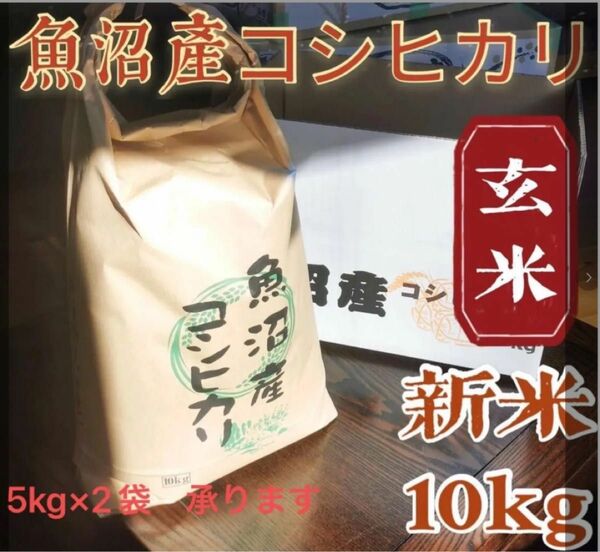 魚沼産コシヒカリ　玄米10kg 令和5年産　棚田米