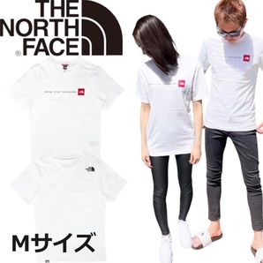 ザ ノースフェイス 半袖 Tシャツ NF0A2TX4 カットソー ミニボックスロゴ ホワイト Mサイズ ユニセックス THE NORTH FACE S/S NSE TEE 新品