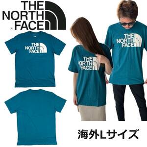 ザ ノースフェイス Tシャツ NF0A812M ハーフドーム ブルーコーラル Lサイズ プリントロゴ THE NORTH FACE M S/S HALF DOME TEE 新品