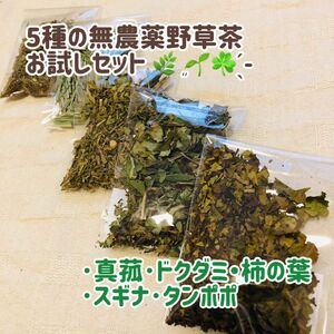 5種の無農薬野草茶 真菰・ドクダミ・柿の葉・スギナ・タンポポ