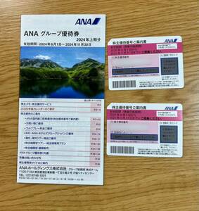 最新 ANA 全日空 株主優待券2枚 グループ優待券付き