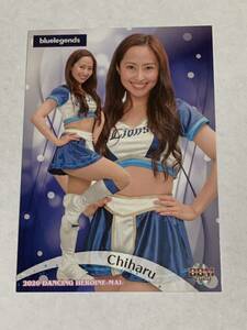 Chiharu 2020 BBM チアリーダー 舞 #8 西武 bluelegends 即決