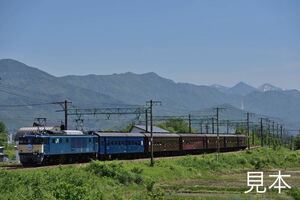 鉄道写真　EF64-1000番台牽引の新潟駅開業120周年号 No.3