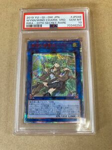 遊戯王　蒼翠の風霊使いウィン　20th PSA10